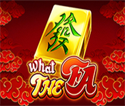 WHAT THE FA WHAT THE FA